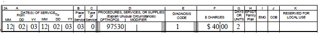 Image of line item for therapy services.